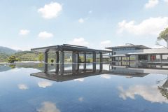 连系灵长类动物养殖资本丰硕的独